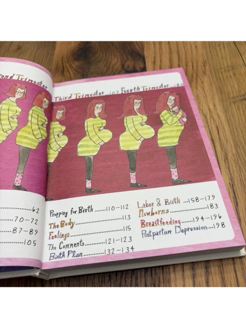 Be Pregnant by Eugenia Viti – Illustrated Guide for Moms-to-Be – Hardcover – NEW